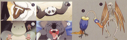 Rare Animal Illustrated Encyclopedia